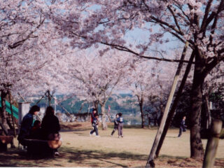 城山公園