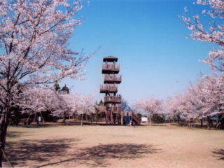 城山公園