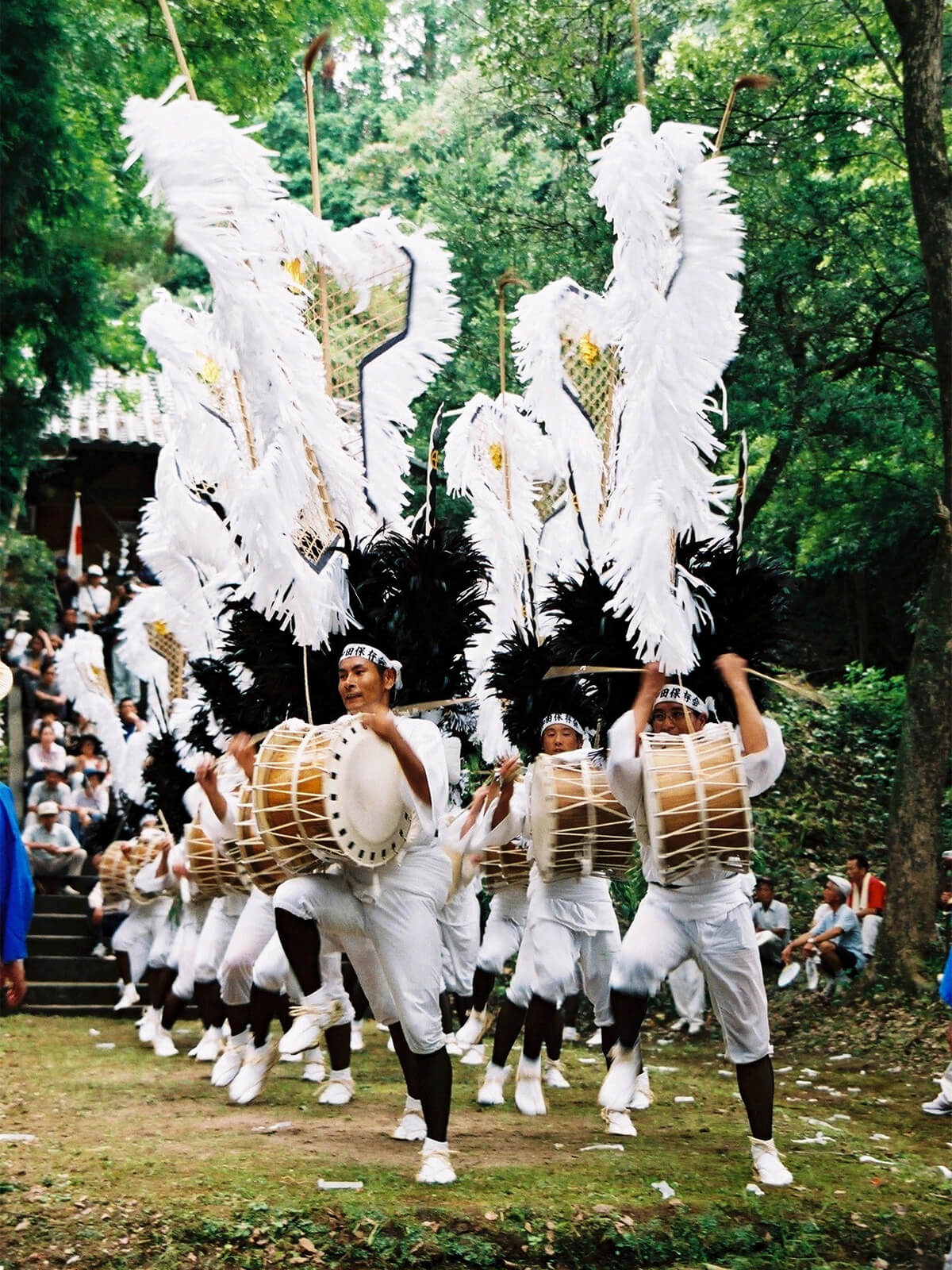 伊作太鼓踊り | 日置市観光協会
