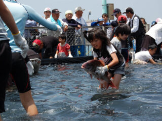 ふるさと港祭り