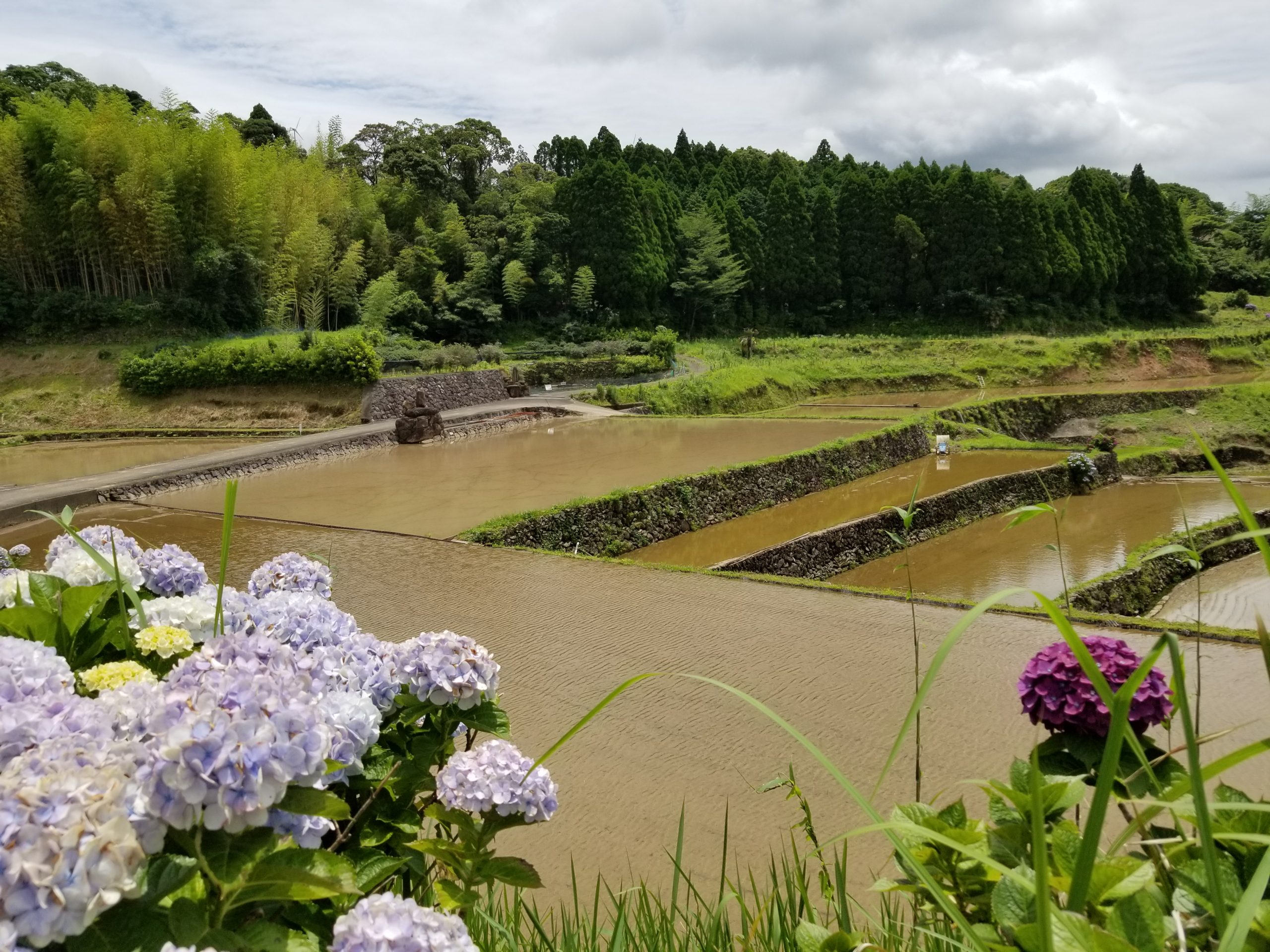 高山 | 日置市観光協会