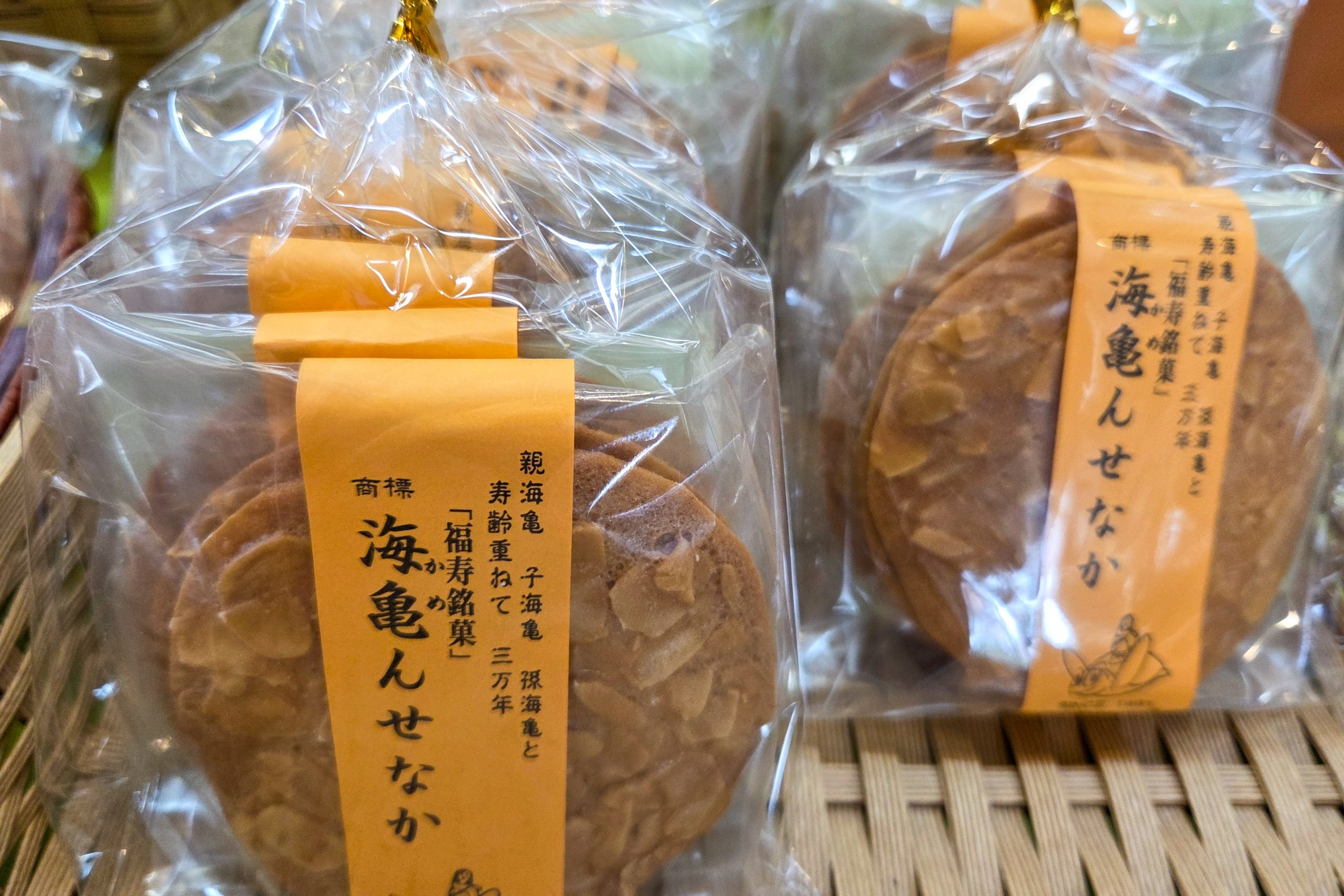 日置市の銘菓『前田家』さんの海亀せんべい | 日置市観光協会